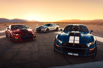 Ford Mustang Shelby GT500 2020, ford-mustang, mustang, cars HD wallpaper