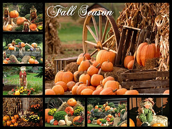 Fall Season, season, fall, nature, ppumpkins, collage HD wallpaper