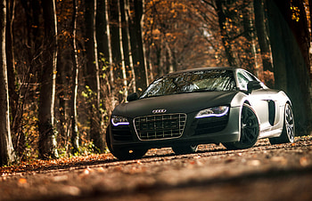 Sports, Audi, Cars, Sports Car, R8, V10 HD wallpaper