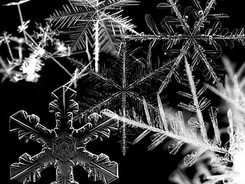 Snowflakes, winter, black, Snowflake, snow, snows HD wallpaper