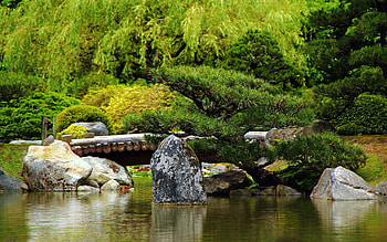 Nature, Trees, Stones, Summer, Smooth, Surface, Greens, Bridge, Pond, Log HD wallpaper
