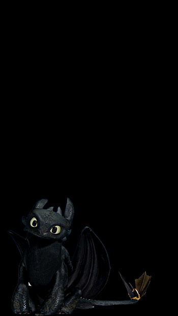 Chimuelo, whiskers, bat HD phone wallpaper