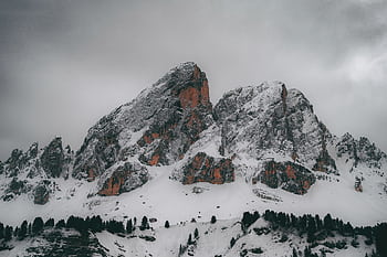Majestic snow-capped mountains with trees, under an overcast sky, showcasing natural beauty. HD wallpaper