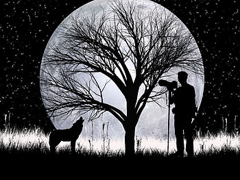 Art, Vector, Silhouettes, Wolf, grapher, Full Moon HD wallpaper
