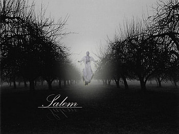 North Salem, gothic, scary, city, garden, salem, tree, ghost, movies, trees, abnormal HD wallpaper