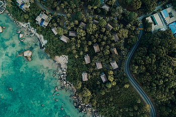 Nature, Trees, Sea, Building, View From Above, Shore, Bank HD wallpaper