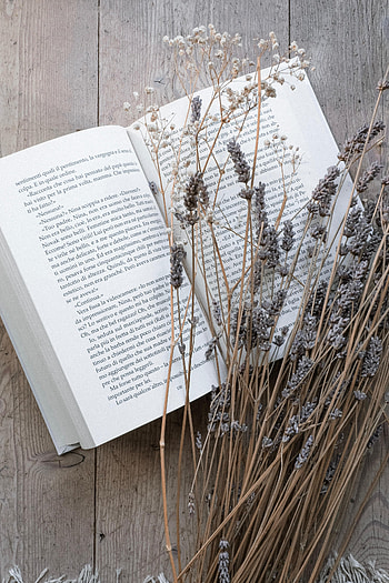 Flowers, Miscellanea, Miscellaneous, Wood, Wooden, Book, Dried Flowers, Dryflower HD phone wallpaper
