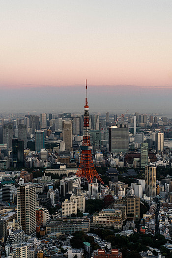 Cities, City, Evening, Tower HD phone wallpaper