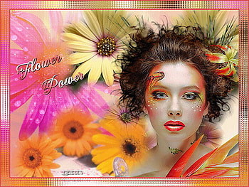 flower power, gerber, colorful, beauty, lily HD wallpaper