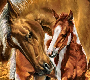 A Mother's Touch - Horses FC, animal, mare, horse, art, beautiful, colt, artwork, painting, equine, foal HD wallpaper