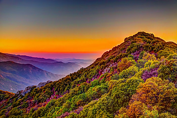 Sequoia National Park, sunset, hill, forest, horizon, nature HD wallpaper
