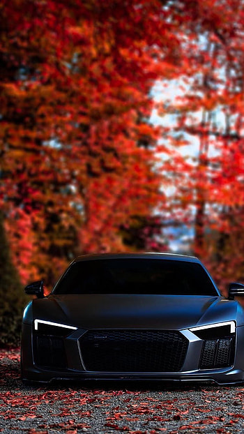 Black Car, Black Audi Car HD phone wallpaper