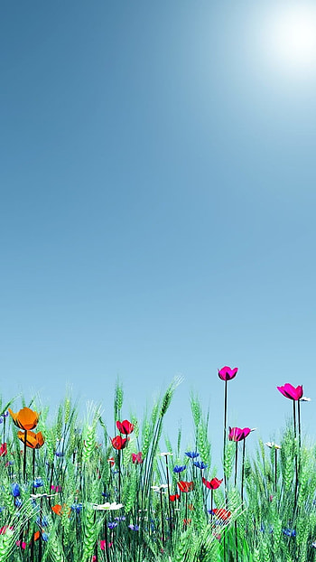 May Background, Blue Sky HD phone wallpaper