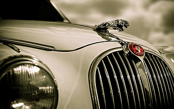 Emblem, Jaguar HD wallpaper