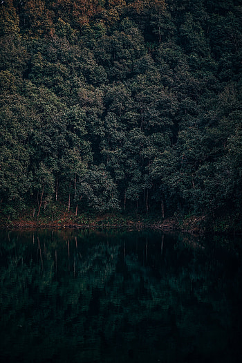 Nature, Trees, Lake, Reflection, Forest, Nepal, Begnas, Lehnat, Lekhnat HD phone wallpaper