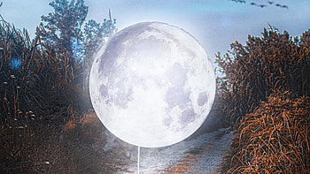 The Road Moon , moon, road, manipulation, artist, artwork, digital-art HD wallpaper