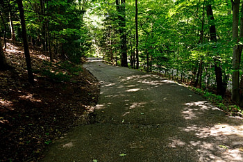Deep Forest Trail, trail, scenic trail, woods trail, forest trail, path, scenic path HD wallpaper
