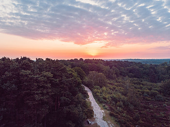Nature, Sunset, View From Above, Horizon, Forest, Track HD wallpaper