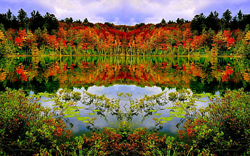 AUTUMN FOREST LAKE, eflection, autumn, forest, lake HD wallpaper