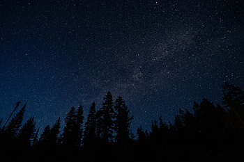 Nature, Trees, Night, Shining, Starry Sky HD wallpaper