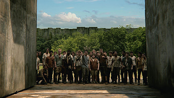 The Maze Runner (2022) movie HD wallpaper