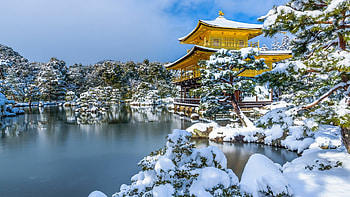 The Golden Pavilion, japan, temple, winter, snow, pavilion, gold, water HD wallpaper
