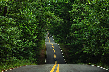 Nature, Trees, Road, Asphalt, Relief, Hills HD wallpaper