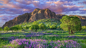Spring in the mountains, clouds, landscape, trees, flowers, sky, sunset HD wallpaper
