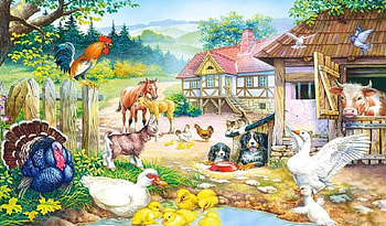 Basse-Cour, basse, cour, poule, canne HD wallpaper