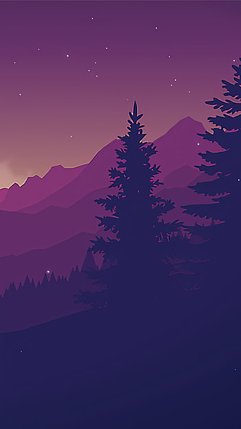Forest, atmosphere, sky, mountain, nature, sunset, stars, trees HD phone wallpaper