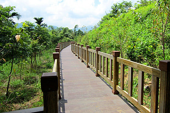 Promenade, blue sky, plants, cultural park HD wallpaper
