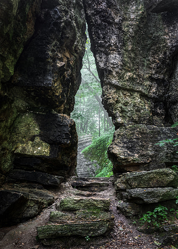 Nature, Rock, Fog, Path, Gorge HD phone wallpaper