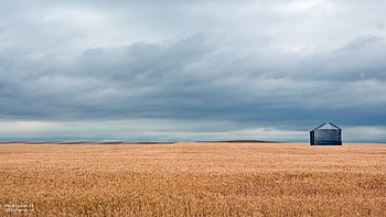 Open Field Montana by vnt87 Open Field Montana by vnt87 HD wallpaper