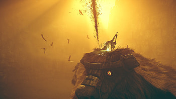 Shadow Of The Colossus, shadow-of-the-colossus, games, 2018-games HD wallpaper