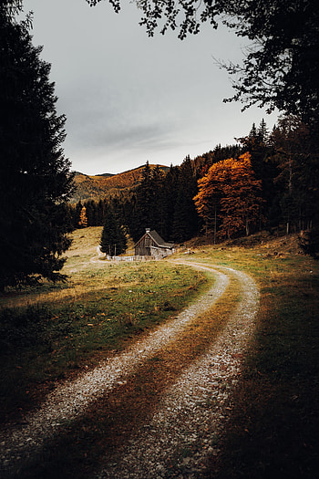 Nature, Autumn, Forest, House, Path HD phone wallpaper