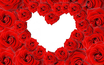 Holidays, Flowers, Background, Roses, Hearts, Valentine's Day HD wallpaper