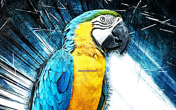 Blue and yellow Macaw, grunge art, blue parrot, Ara ararauna, parrots, blue abstract rays, Blue and gold Macaw, Ara HD wallpaper