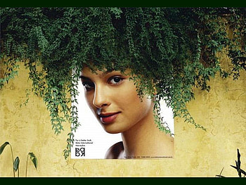 Natural-Hair, natural, funny, hair HD wallpaper