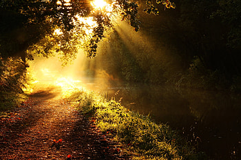 Nature, Rivers, Sun, Shine, Light, Wood, Beams, Rays, Tree, Branches, Branch, Morning, Glow HD wallpaper