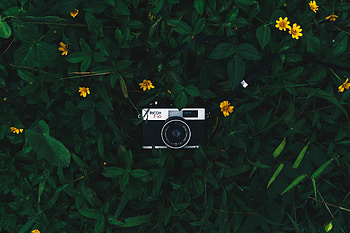 Flowers, Leaves, Lens, Technologies, Technology, Camera HD wallpaper