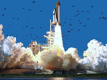 Launch Birds, shuttle, birds, florida, rocket HD wallpaper