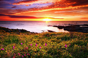 Fiery sunset, sea, glow, sundown, colors, meadow, beautiful, lake, fiery, reflection, field, nature, flowers, sky, amazing, sunset HD wallpaper