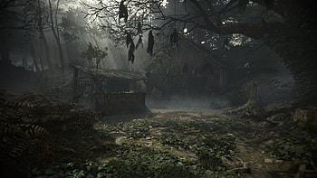 forest, wood, raven, video game, A Plague Tale: Requiem HD wallpaper