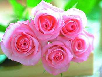Pretty in Pink, pink, bouquet, flowers, roses HD wallpaper
