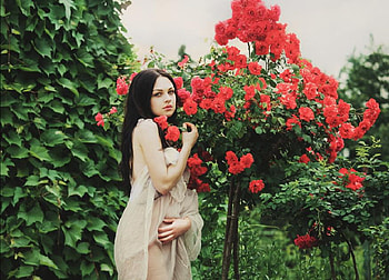 tree flower, plants, red, cute, flowers, female, tree HD wallpaper