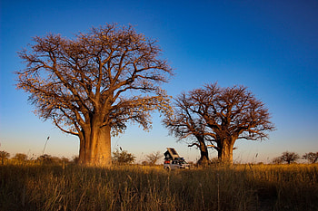 Self-drive Botswana, 4x4 adventure, Safari holidays, Unforgettable experience HD wallpaper