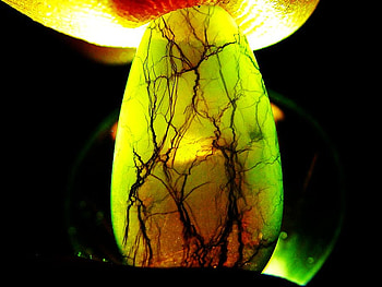 Opal_Egg, egg, opal, , light, cool HD wallpaper