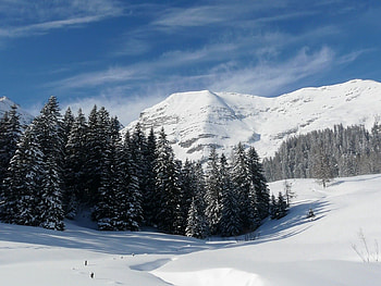Nature, Trees, Mountains, Snow, Relief, Shadows, Ate, Slopes HD wallpaper