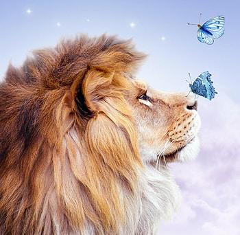 Zodiac ~ Leo, animal, blue, leu, butterfly, fantasy, harsh taggar, lion HD wallpaper