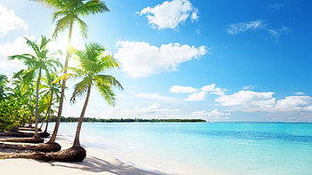 Paradise In The Morning, tropical, white sands, paradise, beautiful, beach, summer, clouds, turquoise water, palm trees, ocean HD wallpaper